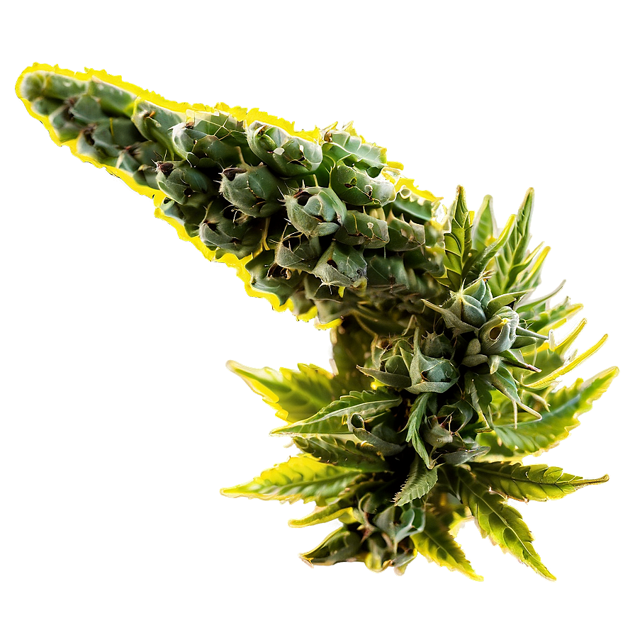 Weed D PNG image