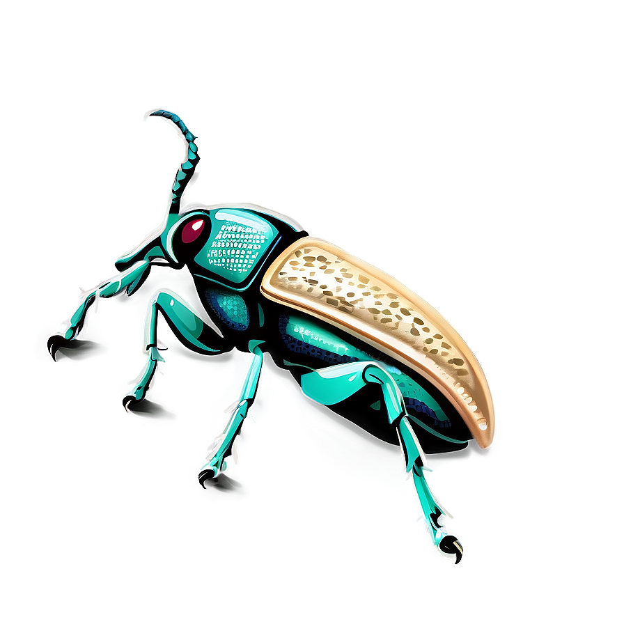 Weevil Illustration Png 06292024 PNG image