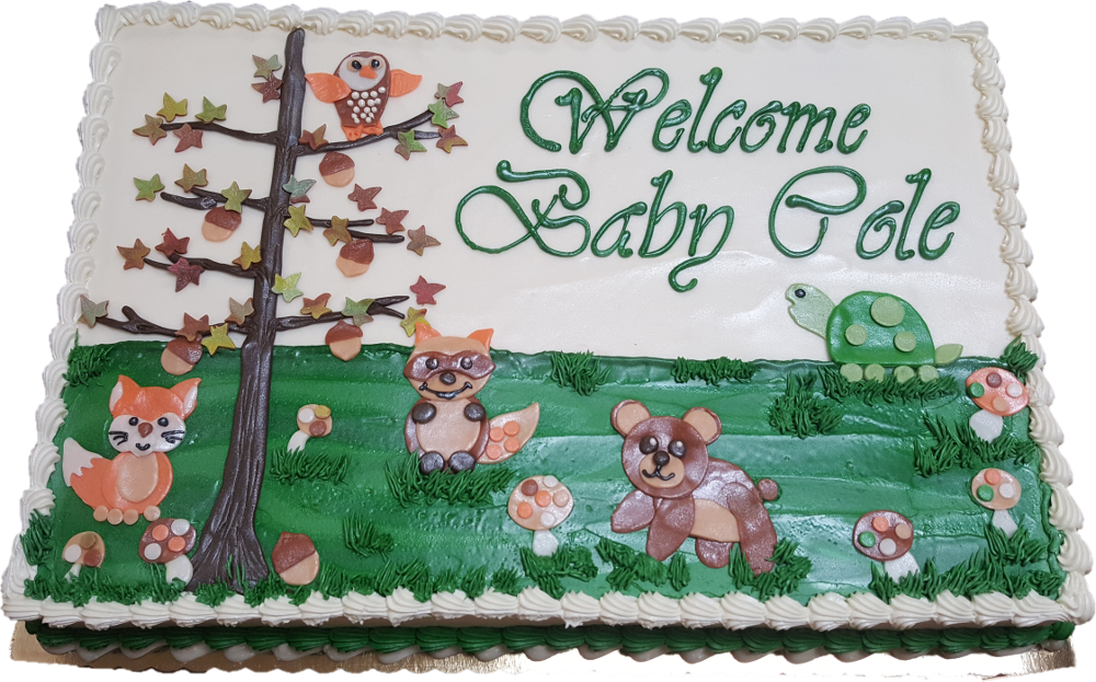 Welcome Baby Cole Decorated Cake PNG image