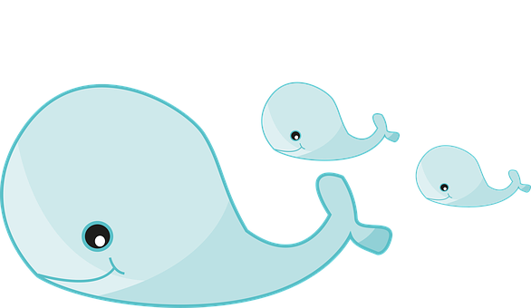 Whale Family Cartoon PNG image