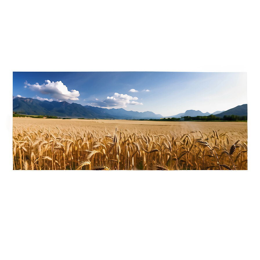 Wheat Field With Mountains Background Png 06252024 PNG image