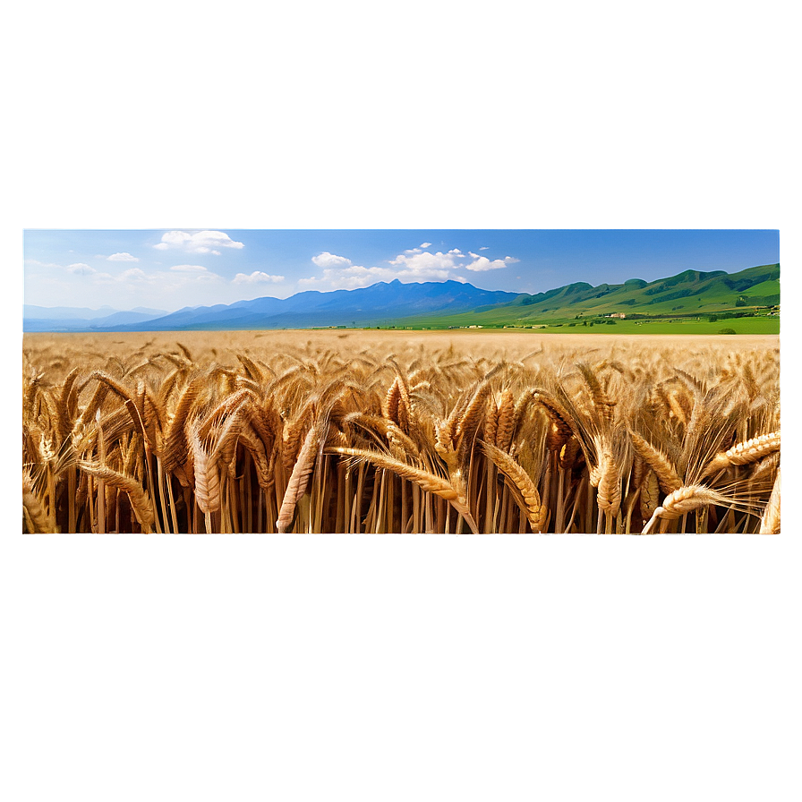 Wheat Field With Mountains Background Png 06252024 PNG image