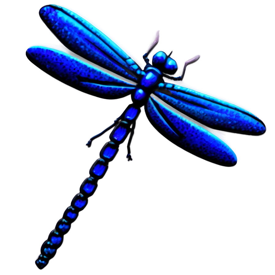 Whimsical Dragonfly Png 05212024 PNG image