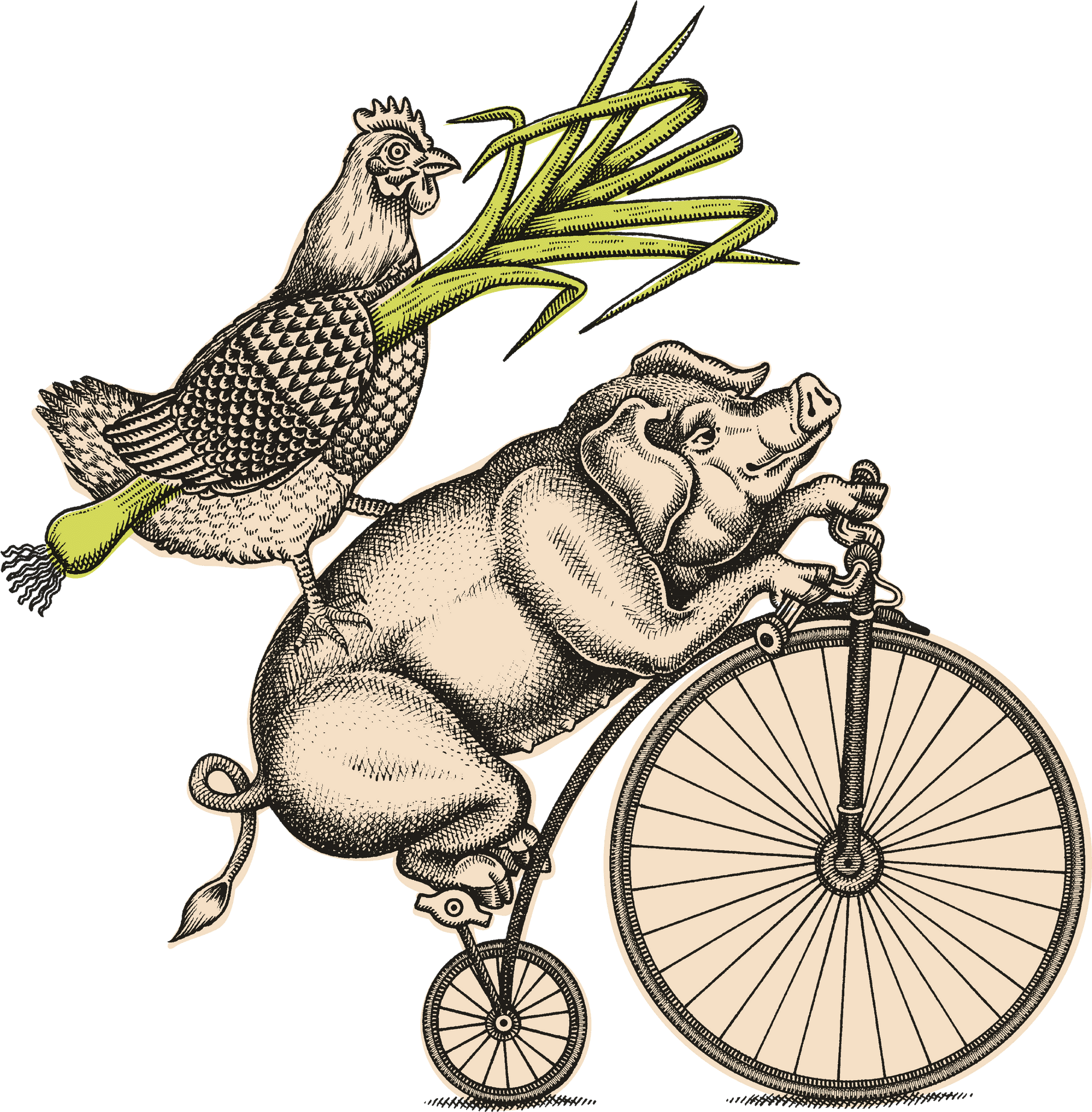 Whimsical Hippoand Chickenon Bicycle Leek Flight PNG image