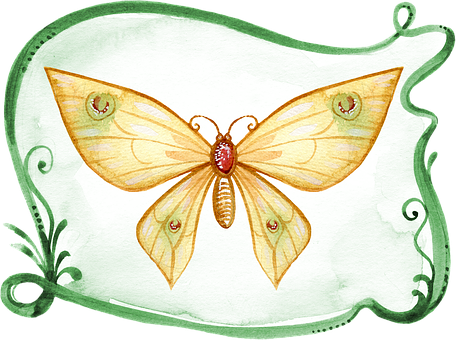 Whimsical Watercolor Butterfly PNG image