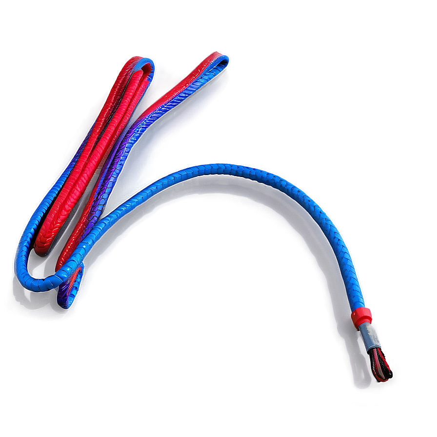 Whip For Discipline Png 37 PNG image
