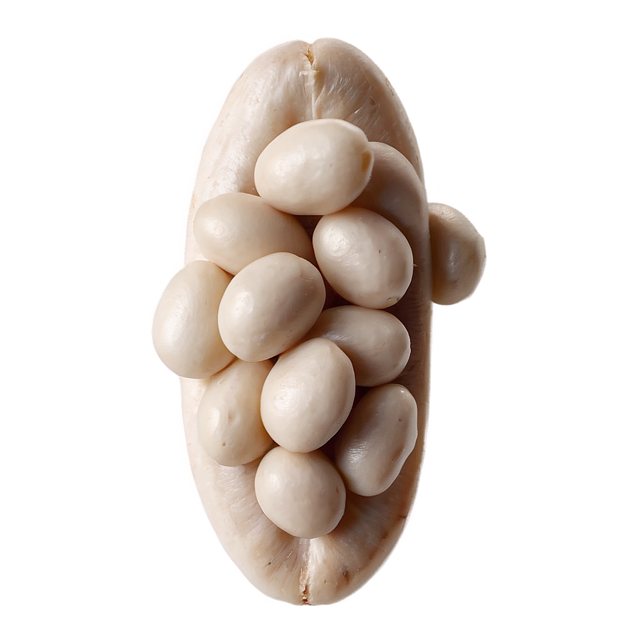 White Beans Png 69 PNG image