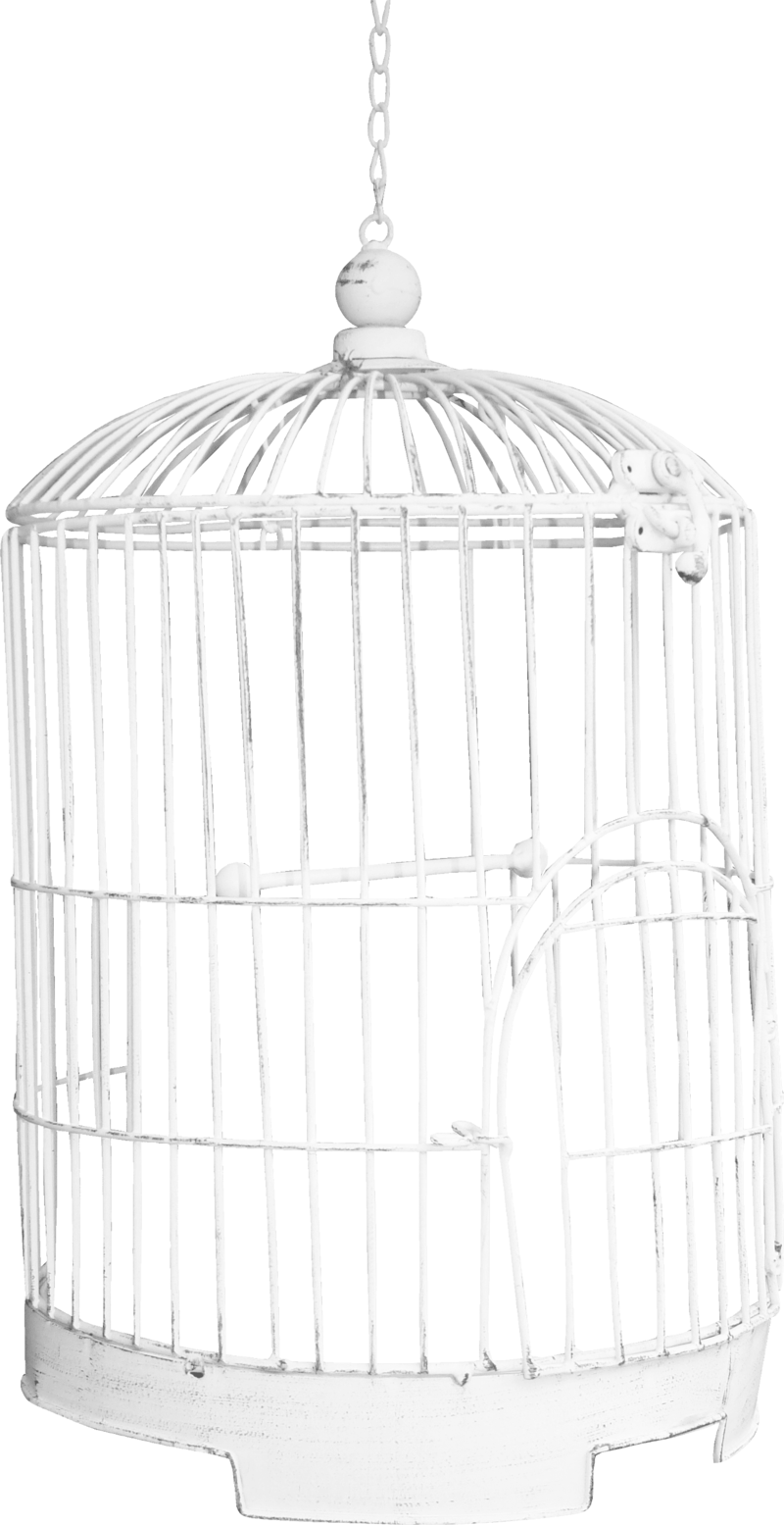 White Bird Cage Hanging PNG image