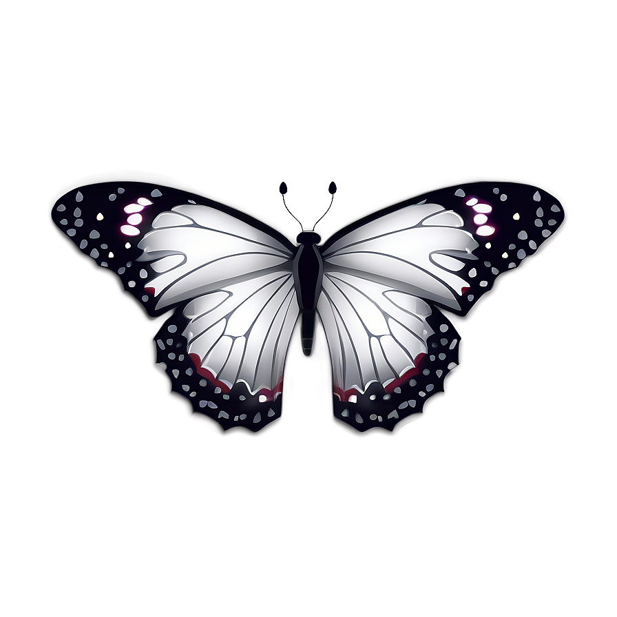 White Butterfly Cartoon Png 35 PNG image