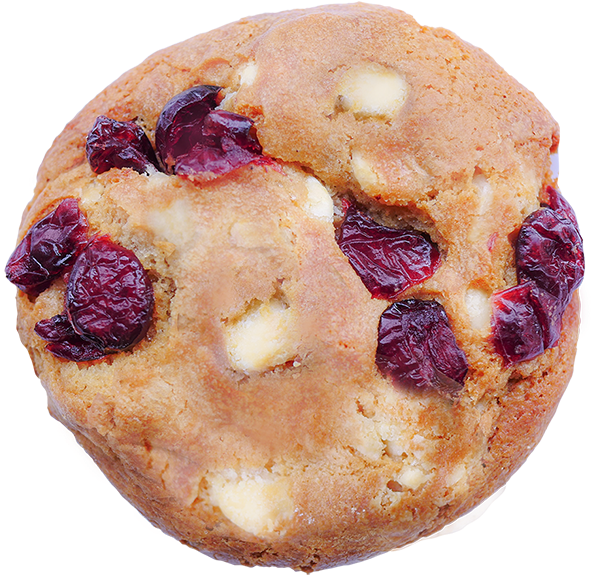 White Chocolate Cranberry Cookie PNG image