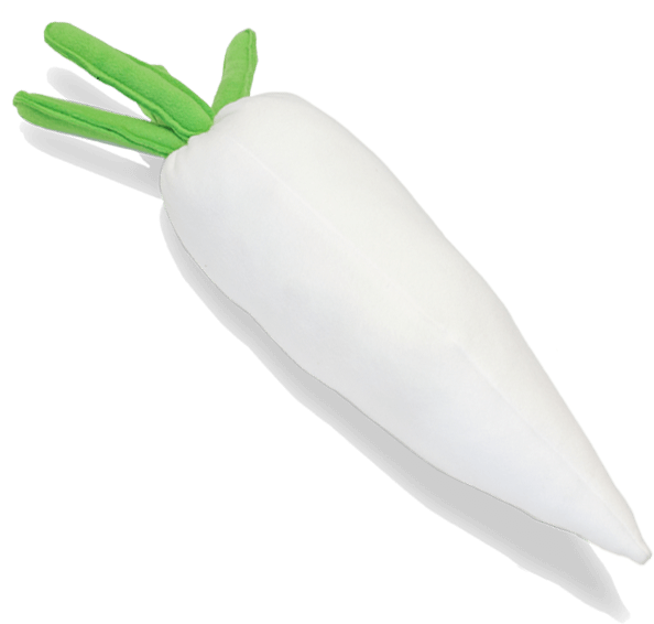 White Daikon Radishon Green Background PNG image