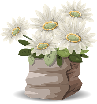 White Daisiesin Brown Bag Illustration PNG image