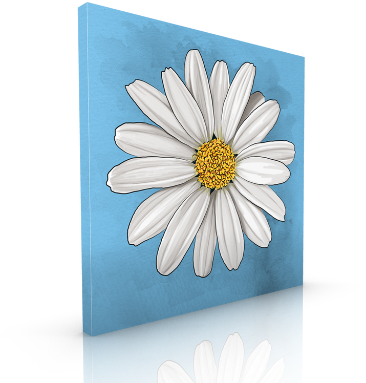 White Daisy Blue Background Art PNG image