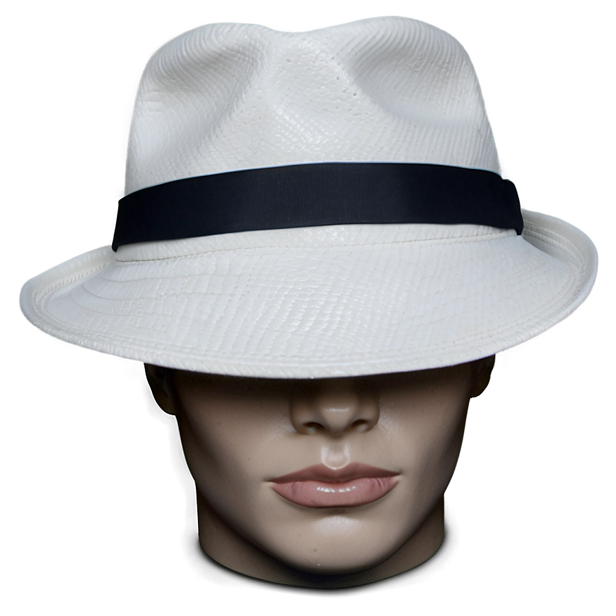 White Fedora Png Ccb26 PNG image