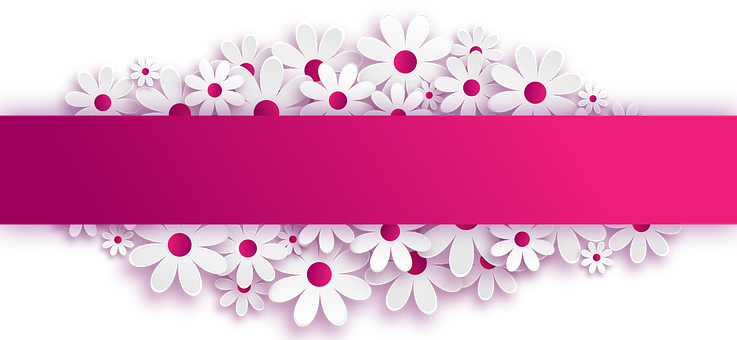 White Floral Bannerwith Pink Stripe PNG image