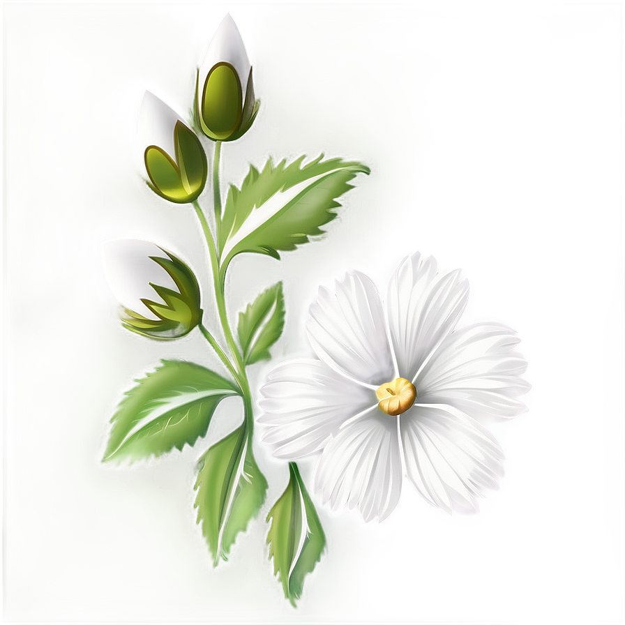 White Flower Art Png 05242024 PNG image