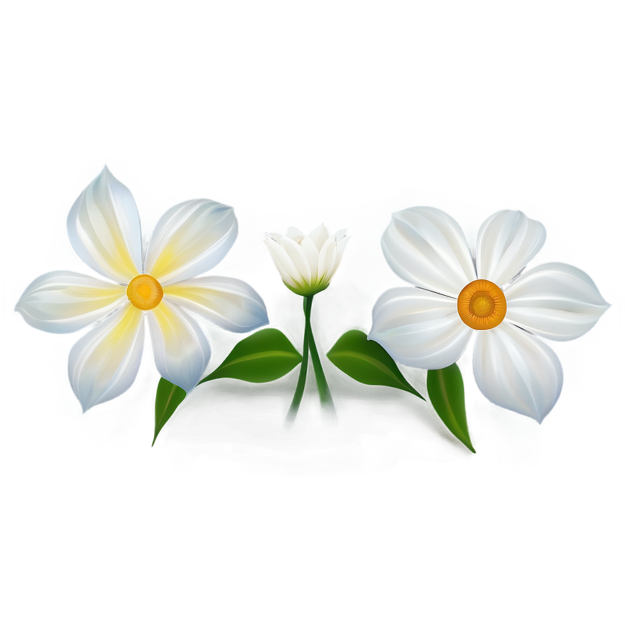 White Flower Art Png 88 PNG image