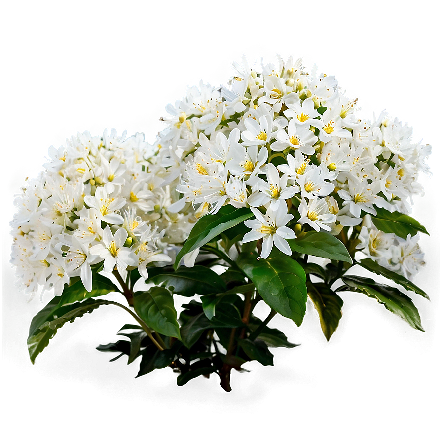 White Flower Bush Png Gam88 PNG image