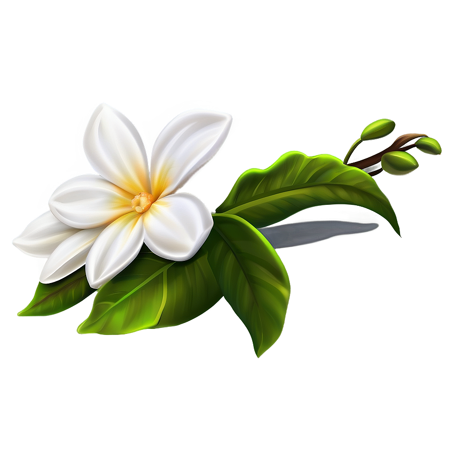 White Flower Decoration Png 85 PNG image