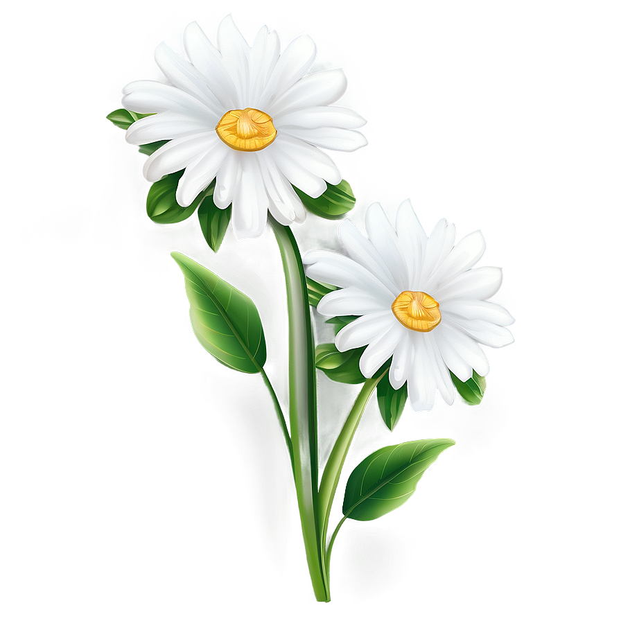 White Flower Illustration Png 05242024 PNG image