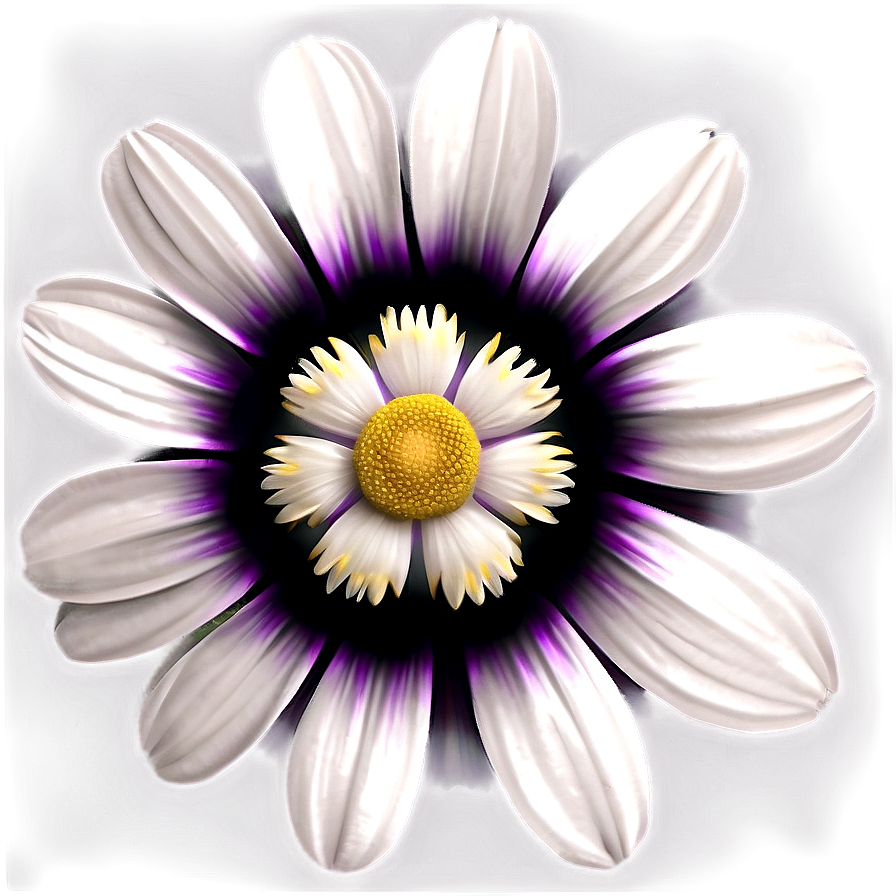 White Flower Theme Png 22 PNG image