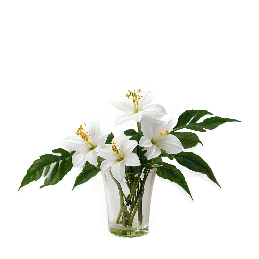 White Flowers In Vase Png Nve41 PNG image