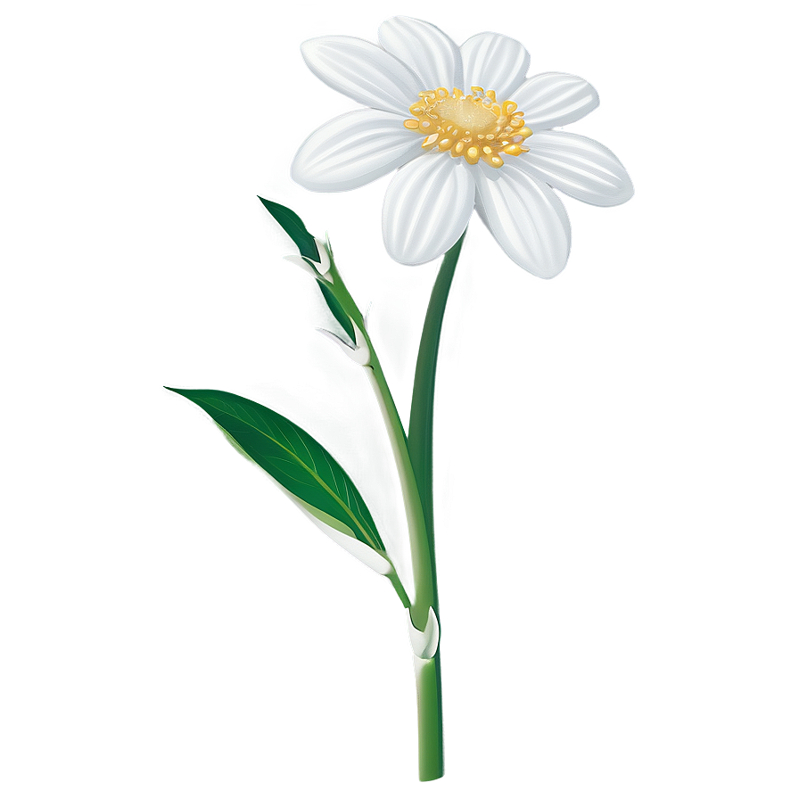 White Flowers Single Stem Png 05242024 PNG image