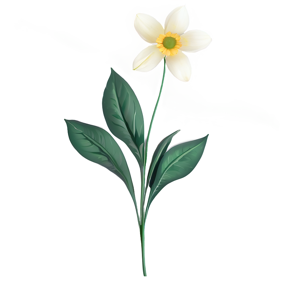 White Flowers Single Stem Png Qnw71 PNG image