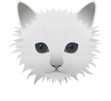 White Fluffy Cat Illustration PNG image