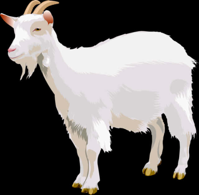White Goat Illustration.png PNG image