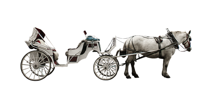 White Horse Drawn Carriage Black Background PNG image