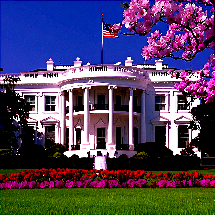 White House In Spring Bloom Png 06252024 PNG image