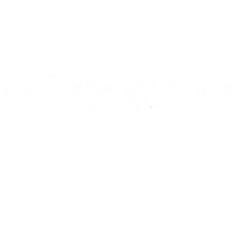 White Lace Border Png Ndl71 PNG image