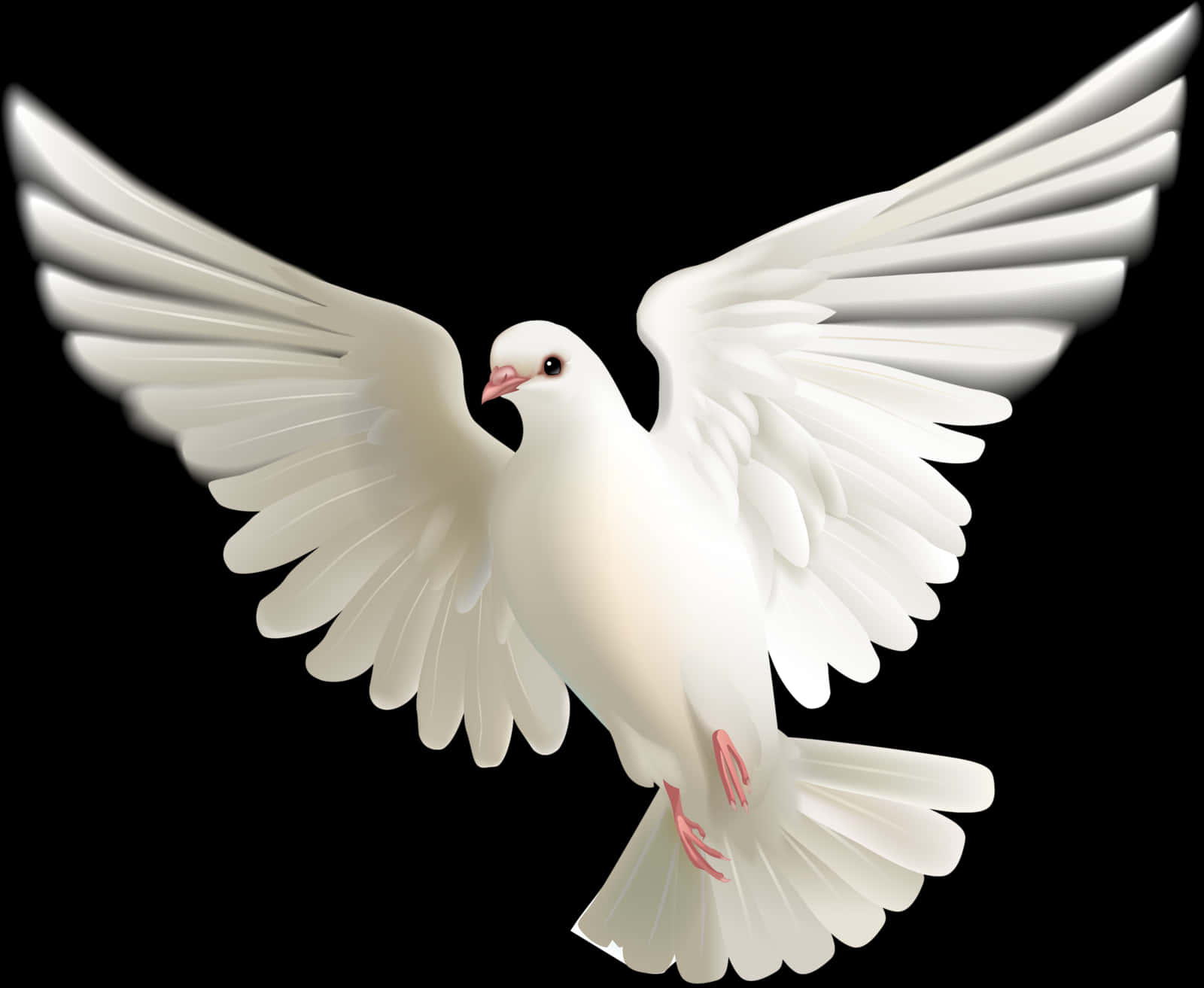 White Pigeon In Flight PNG image