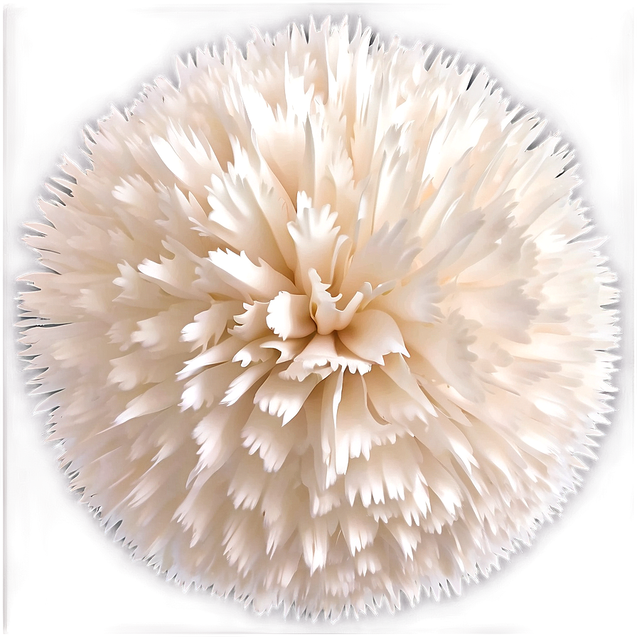 White Pom Poms Png 06132024 PNG image