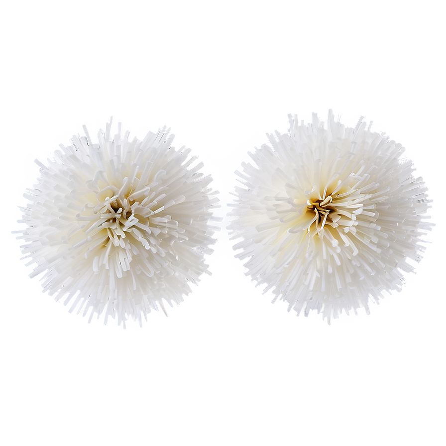 White Pom Poms Png Fdq25 PNG image