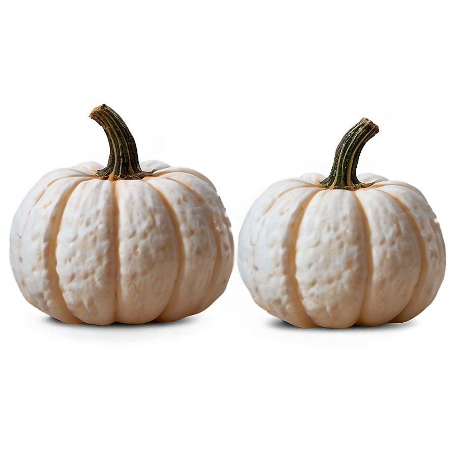 White Pumpkin Background Png 79 PNG image