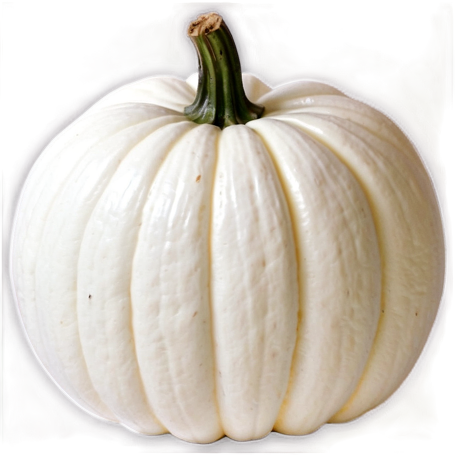 White Pumpkin Display Png Chk PNG image