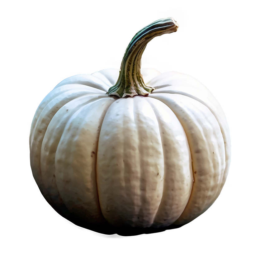 White Pumpkin Drawing Png 06212024 PNG image