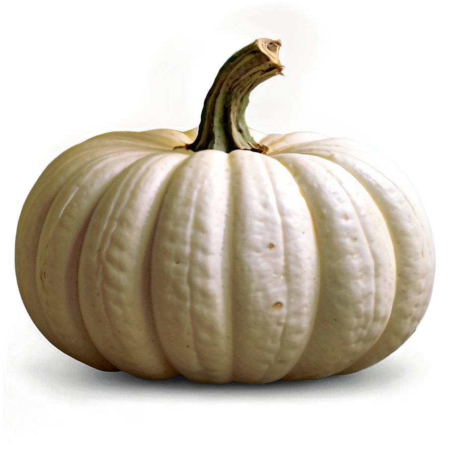 White Pumpkin Festive Png Ghc PNG image