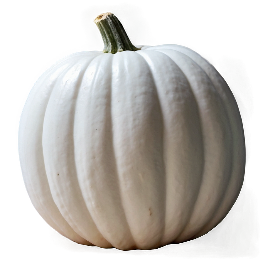 White Pumpkin For Fall Png 06212024 PNG image