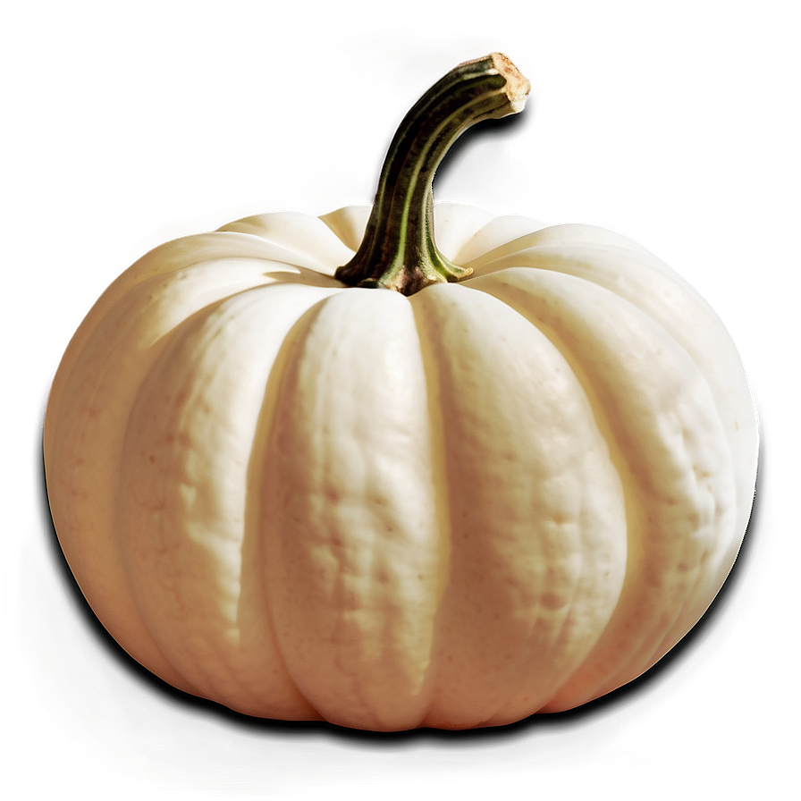 White Pumpkin For Halloween Png 06212024 PNG image