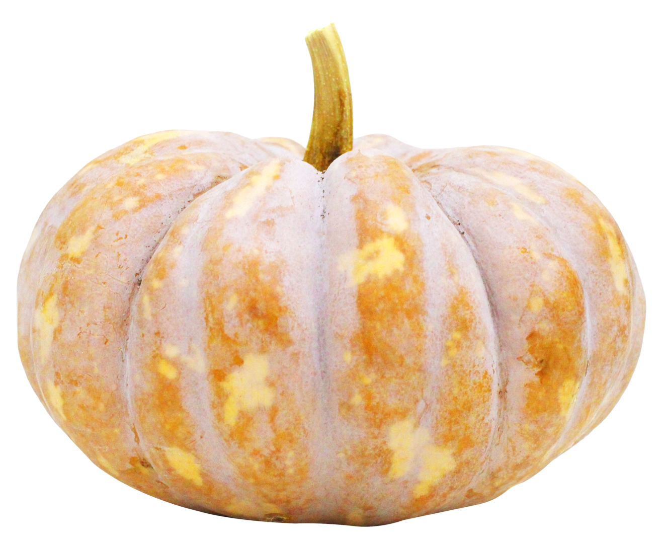 White Pumpkin Isolated Background PNG image