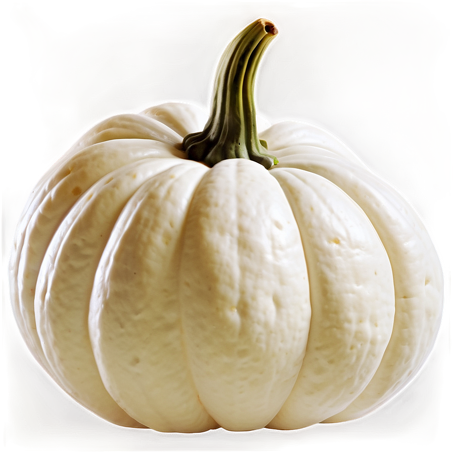 White Pumpkin Seed Png 06212024 PNG image