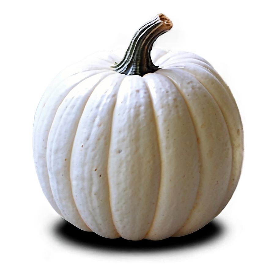 White Pumpkin Stack Png Sqr79 PNG image