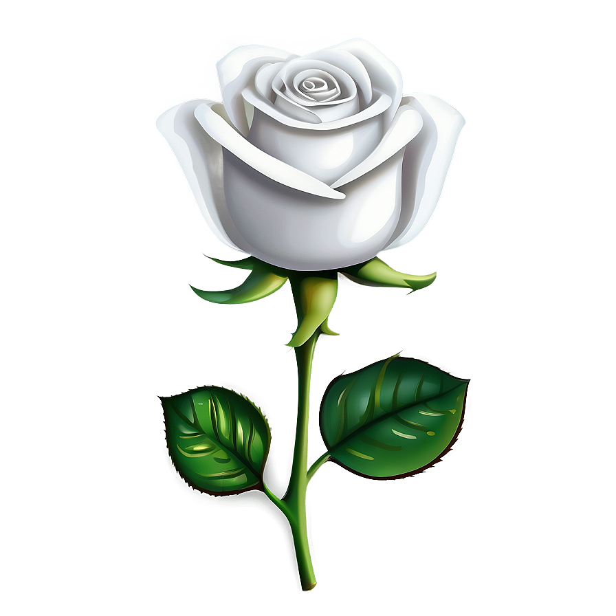 White Rose Png 81 PNG image