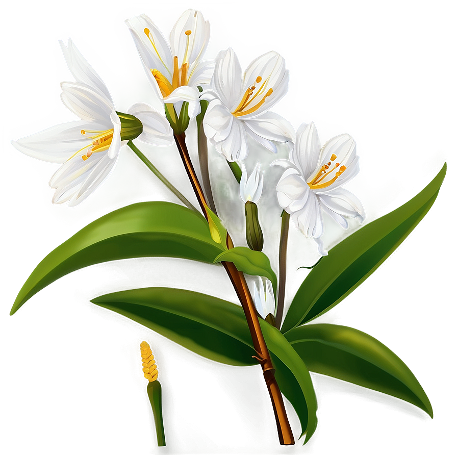 White Spring Flower Png 26 PNG image