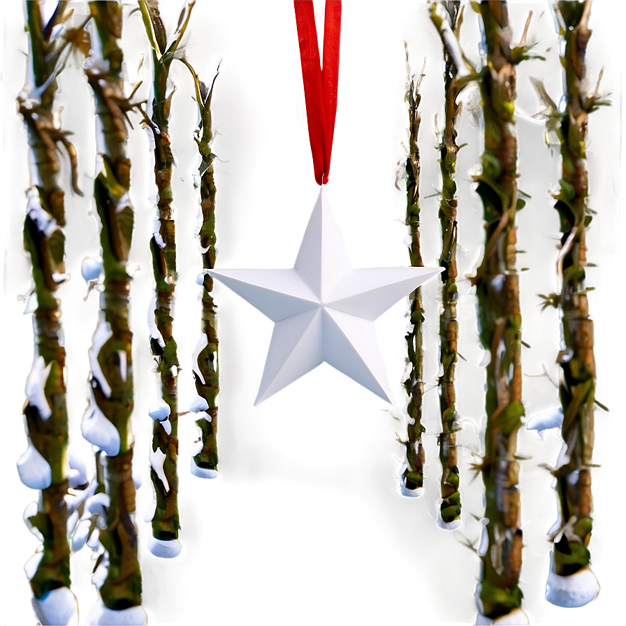 White Star C PNG image