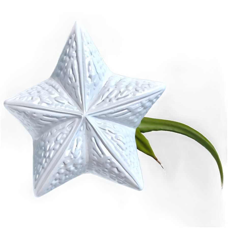 White Star For Textures Png 05042024 PNG image
