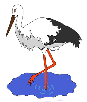 White Stork Illustration PNG image